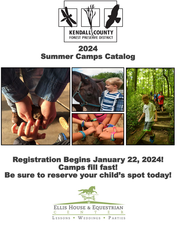 Summer Camps catalog