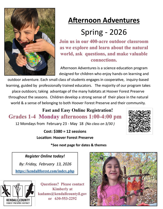 Afternoon Adventures