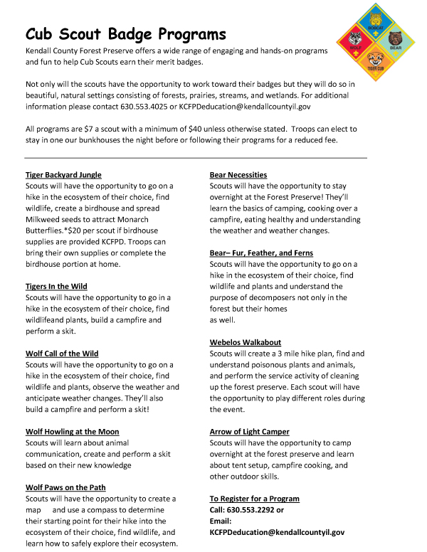 Boy Scout Badge Offerings