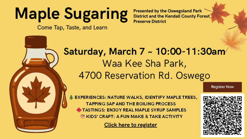 Maple Sugaring